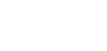 Shopify Partner